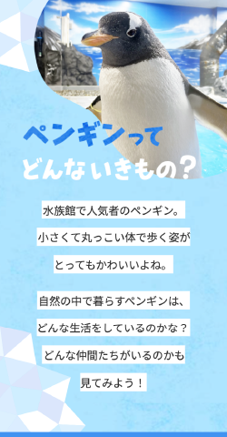 ポートフォリオ用制作ページ「ペンギンってどんな生き物？」SP版