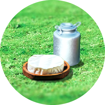 制作物のイメージ（チーズと牛乳）